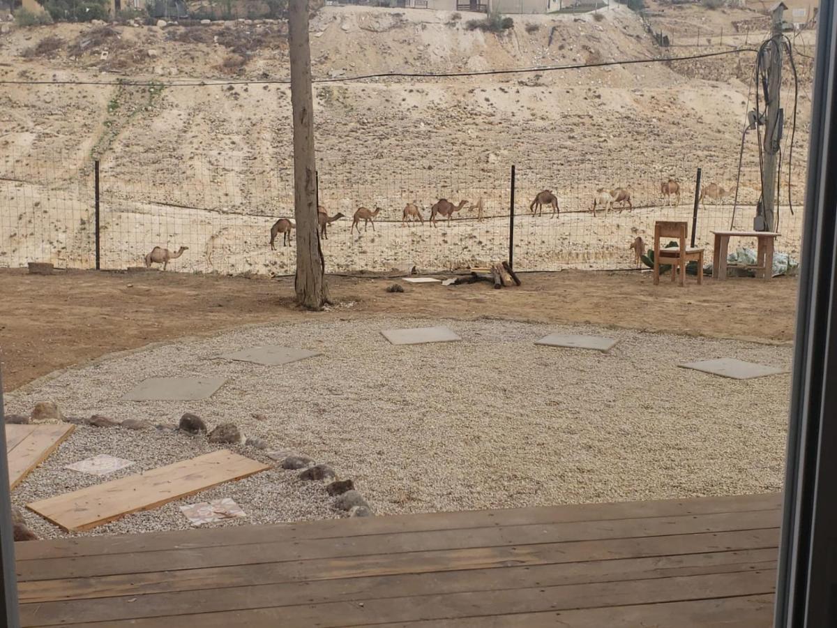 Moonlight Suite Arad צימר אור הירח, ערד Exteriör bild